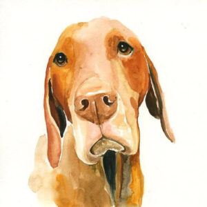 Custom Pet Portrait