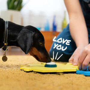 Dog Talking Button