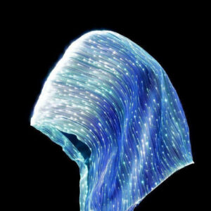 Fiber Optic Hoodie