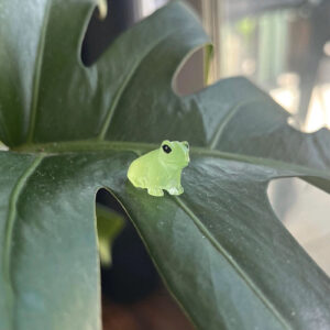 Glow in the Dark Frog