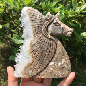Natural Cluster Unicorn