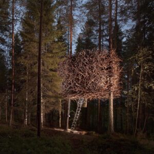 Bird's Nest Tree Hotel