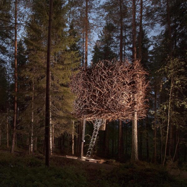 Bird's Nest Tree Hotel