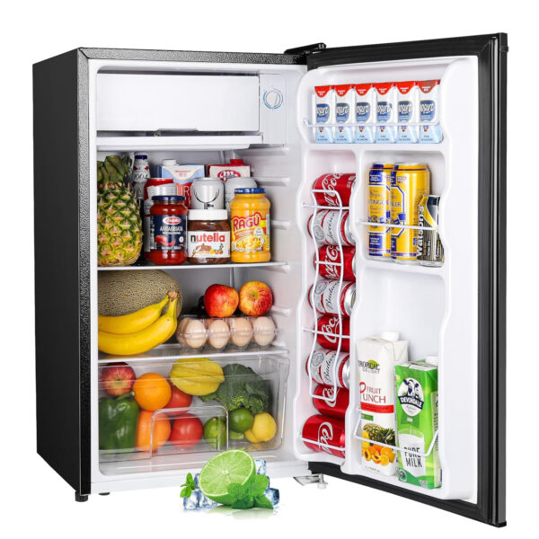 Mini Fridge with Freezer