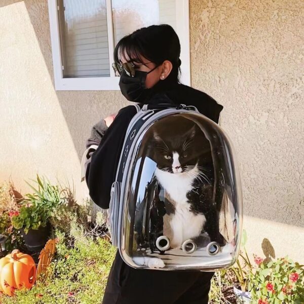 Cat Carrier Backpack