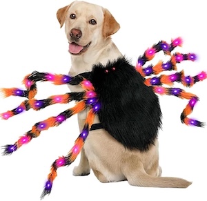Dog Halloween Costumes