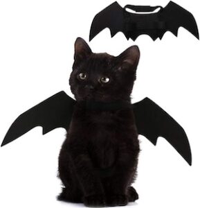 Pet Cat Bat Wings for Halloween Party
