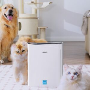 Aeockey Air Purifier