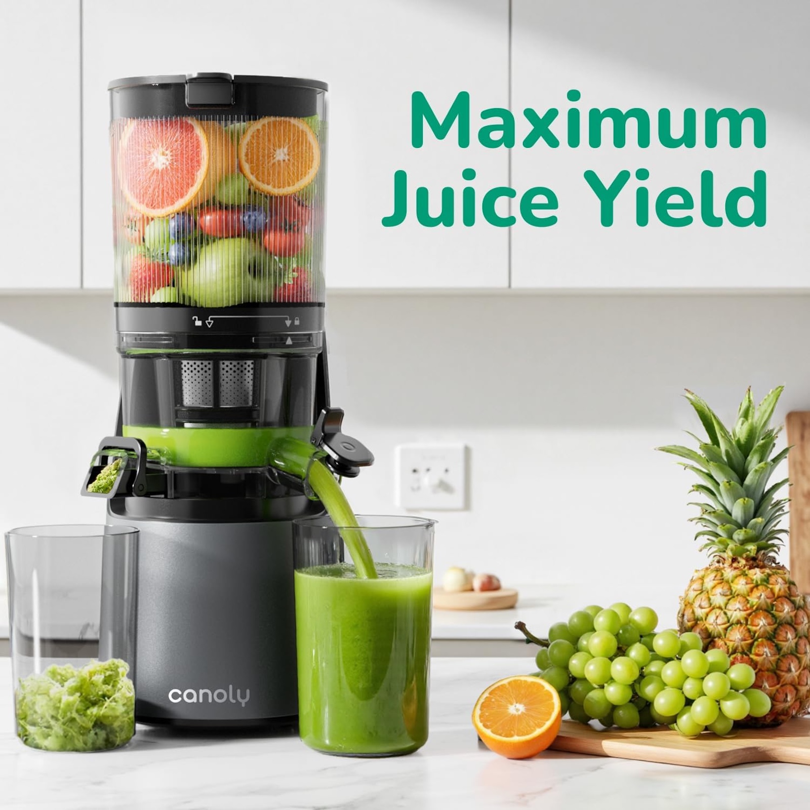 Canoly C16 Cold Press Juicer