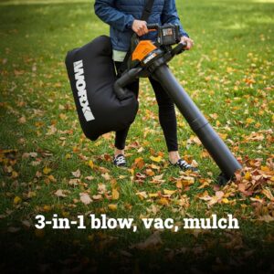 Cordless Leaf Blower