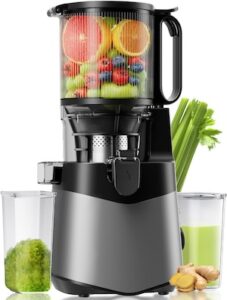 EanOruus Cold Press Juicer