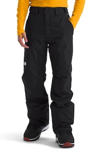THE NORTH FACE Men's Freedom Insulated Pant