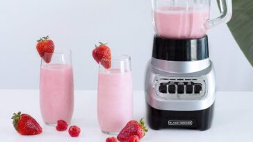 cyber monday blender deals