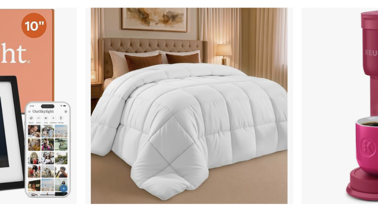 Best First Apartment Finds on Amazon