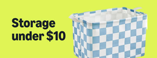 storage under $10